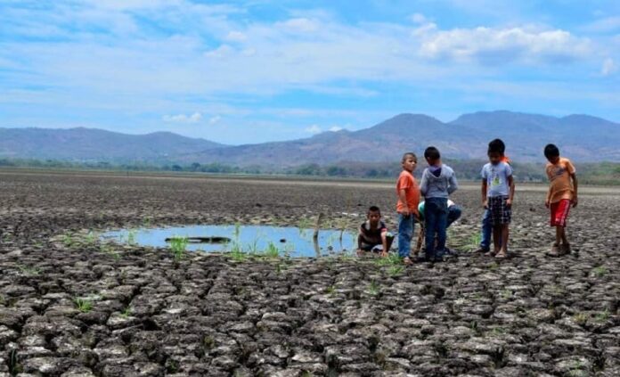 El 37% de mexicanos admite que puede mudarse de hogar por el cambio climático