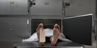 ¿Cuáles son las principales causas de muerte entre los mexicanos? / Por Alejandro Durán