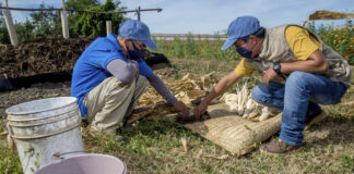Chapingo reconfigura la formación agronómica; crea carreras con IA en agricultura / Por Alicia Valverde