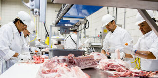 Capacitación, estrategia clave para la industria cárnica