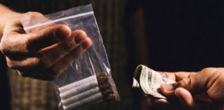 Vinculan a proceso a siete personas en Tulum y Playa del Carmen por narcomenudeo