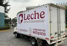 Serán beneficiados con leche para el Bienestar 2.5 millones de agremiados de la CROC / Por Alicia Valverde