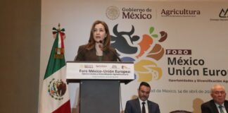 Firmarán México y la Unión Europea modernización del TLCUEM en mayo próximo / Por Alicia Valverde