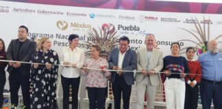 Con la campaña México Sabe a Mar buscan incrementar el consumo de pescados y mariscos / Por Alicia Valverde