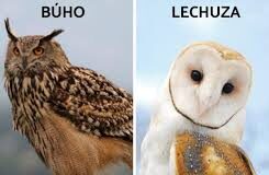 Con la conservación y uso sustentable de la biodiversidad buscan que la CDMX se más resiliente para 2050 / Por Alicia Valverde