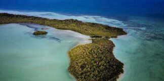 Tamalcab, el secreto mejor guardado de Chetumal, Quintana Roo