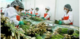 México logra cifra récord de 184 mdd en envío de alimentos al Reino Unido / Por Alicia Valverde