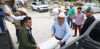 Entregan en Querétaro semilla forrajera en municipios del semidesierto