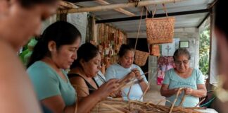 Lanzan una forma novedosa de conocer Veracruz: Turismo comunitario