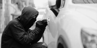 Mando Unificado Oriente reduce 37% el homicidio doloso y 53% el robo de vehículo en 15 municipios del EdoMéx