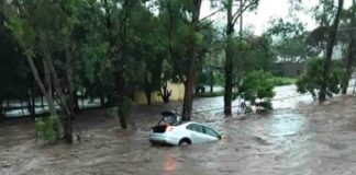 Empresas neerlandesas ofrecen a México soluciones contra inundaciones y captación pluvial